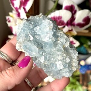 💙Druzy Geode Raw Celestite Crystal Cluster Specimen💙
